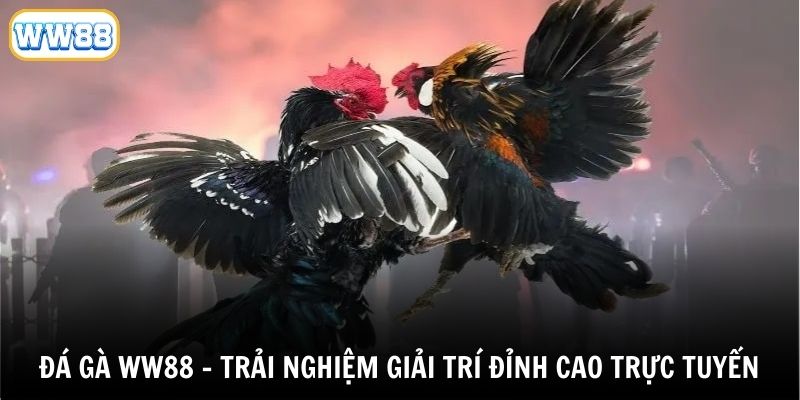 Thông tin về danh mục Đá Gà ww88  đình đám